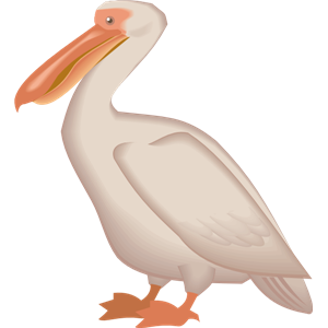 Pelican PNG-46569